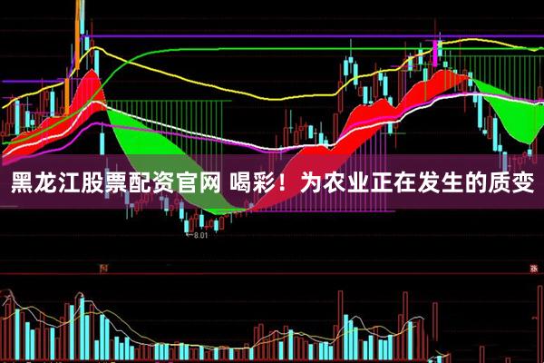 黑龙江股票配资官网 喝彩！为农业正在发生的质变